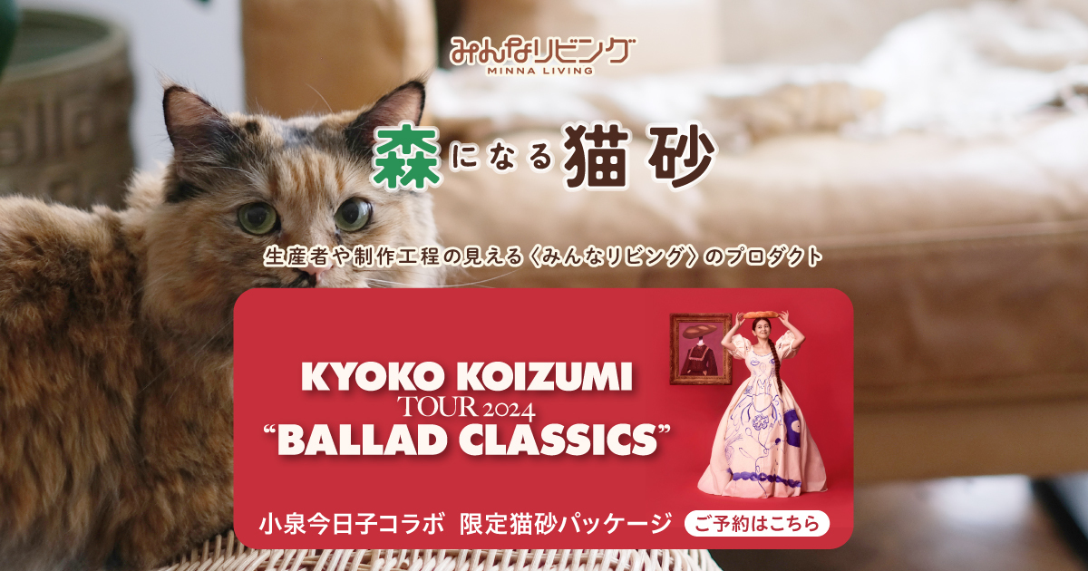 小泉今日子コラボ 限定猫砂パッケージ 予約フォーム|森になる猫 小泉今日子コラボ 限定猫砂パッケージ 予約フォーム|森になる猫